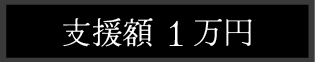 支援額1万円
