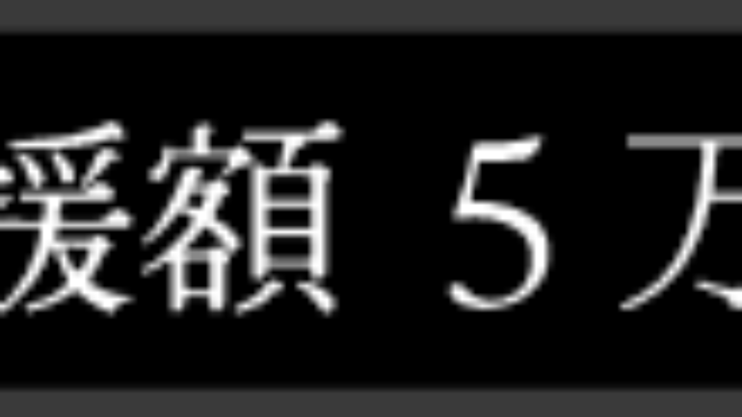 支援額5万円