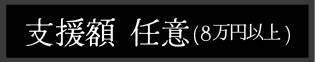 支援額任意（8万円以上）